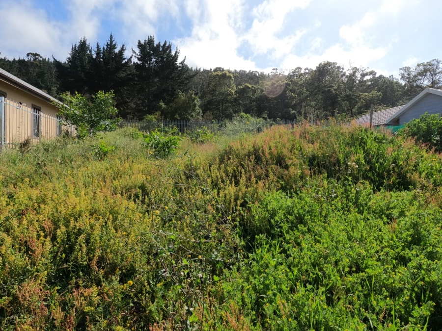 0 Bedroom Property for Sale in Sedgefield Central Western Cape